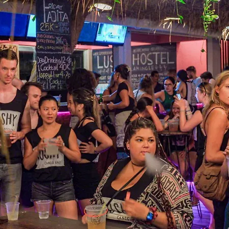 Lushy Hostel Canggu-3